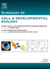 SEMINARS IN CELL & DEVELOPMENTAL BIOLOGY杂志封面